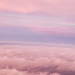 Meet your Posher, Joyce